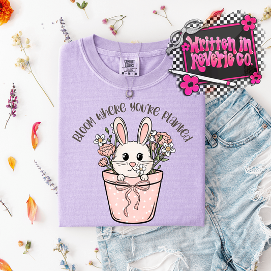 Bloom Where You're Planted PNG
